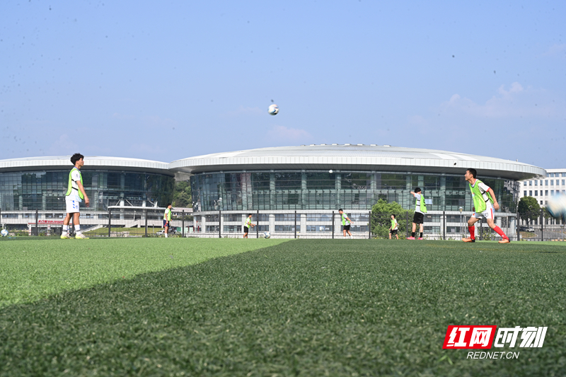 日岳阳讯 日岳阳讯