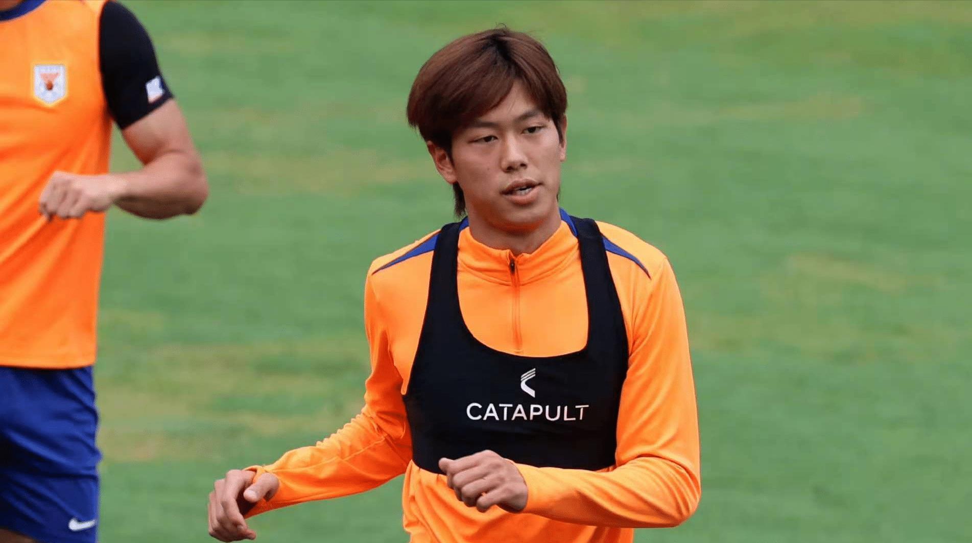 amp, 韩鹏已征召