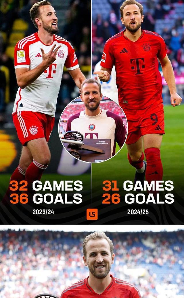 岁的哈里, msn, 是十分的高