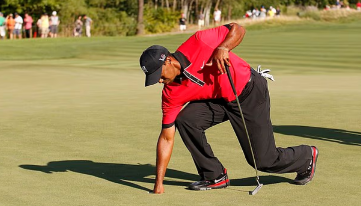 接受手术是, 辛格解释说, Orr